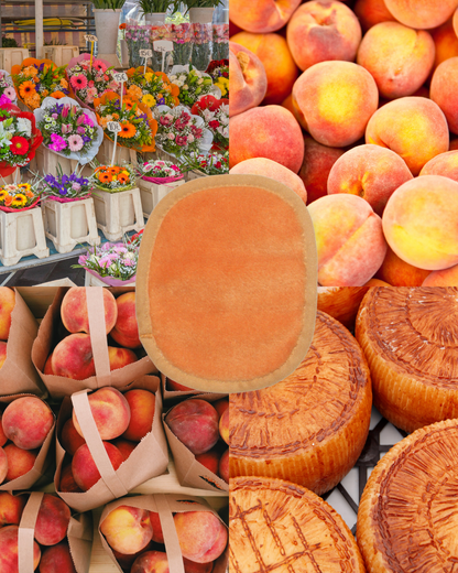 Farmer's Market 7-Day Set with Makeup Bag | Floral & Bright